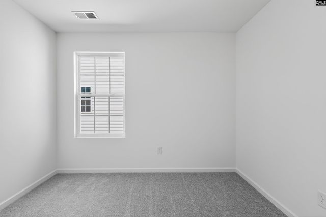 798 Ben Gunn Run, Gilbert, SC 29054