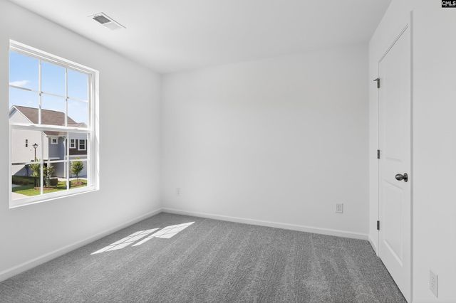 798 Ben Gunn Run, Gilbert, SC 29054