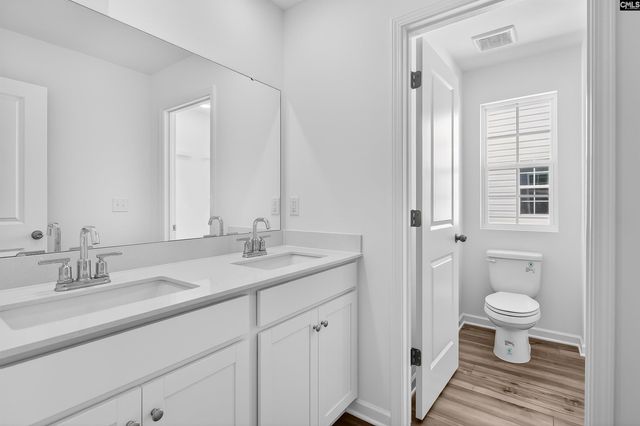 798 Ben Gunn Run, Gilbert, SC 29054