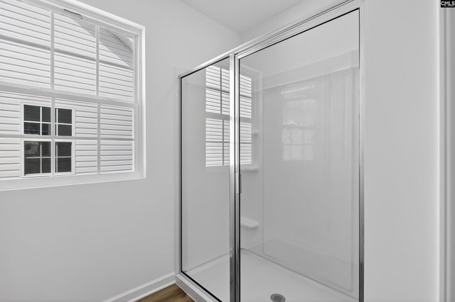 798 Ben Gunn Run, Gilbert, SC 29054