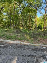 5113 BIDDLE CIRCLE, Mount Olive, AL 35117