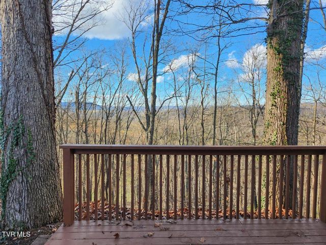 524 Haven Drive, Kingsport, TN 37663