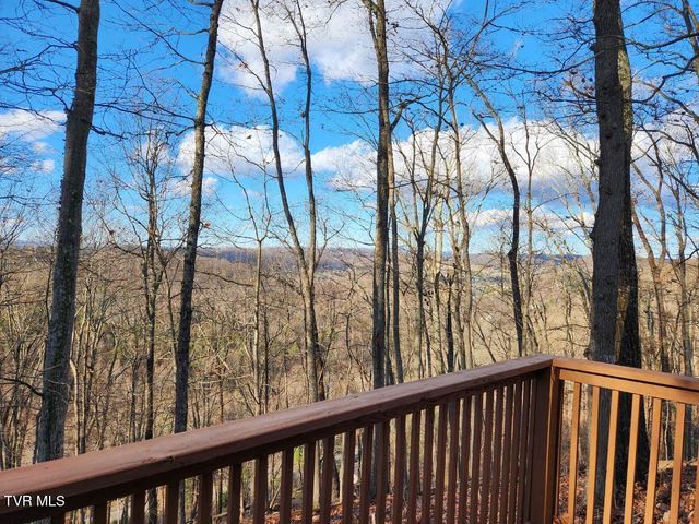 524 Haven Drive, Kingsport, TN 37663