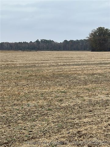 Lot 2 NC 710 Highway N, Red Springs, NC 28377