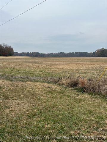 Lot 2 NC 710 Highway N, Red Springs, NC 28377