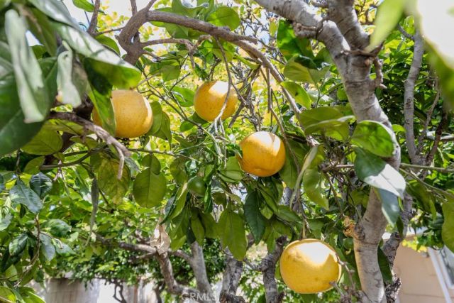 507 S Shields Drive, Anaheim, CA 92804