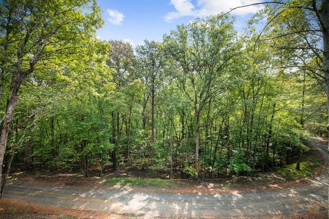 164 Brook Lane, Mineral Bluff, GA 30559