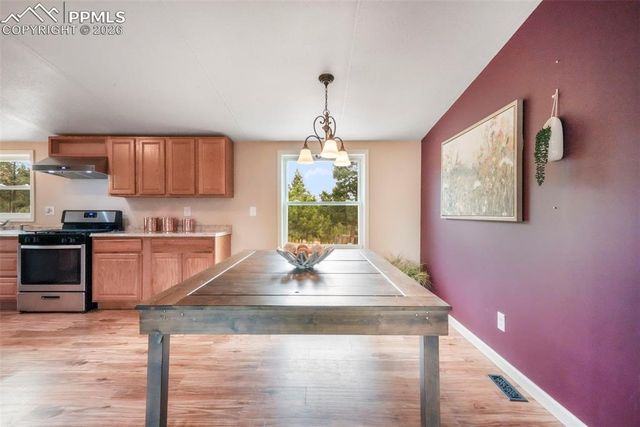 696 Calle De La Nieva, Florissant, CO 80816