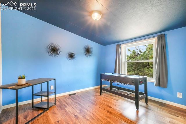 696 Calle De La Nieva, Florissant, CO 80816