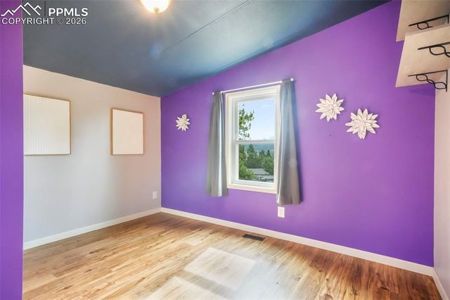 696 Calle De La Nieva, Florissant, CO 80816