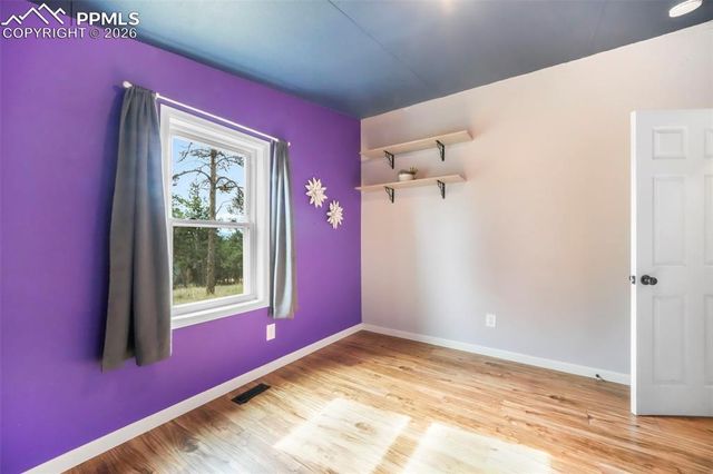 696 Calle De La Nieva, Florissant, CO 80816