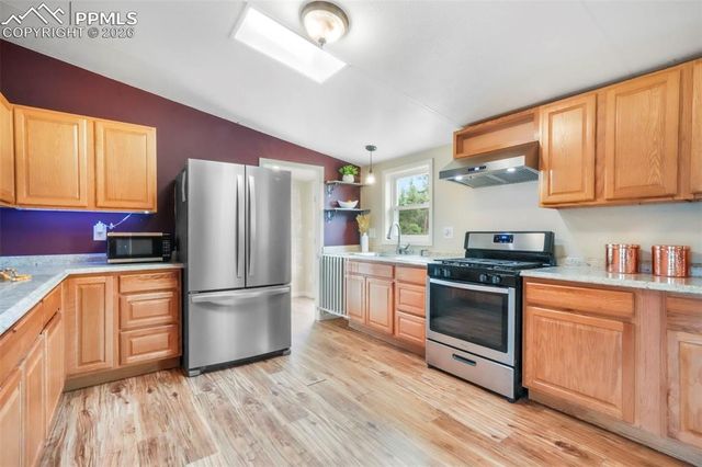 696 Calle De La Nieva, Florissant, CO 80816