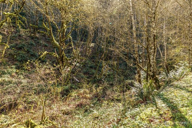 0 NE 5th Street, Washougal, WA 98671