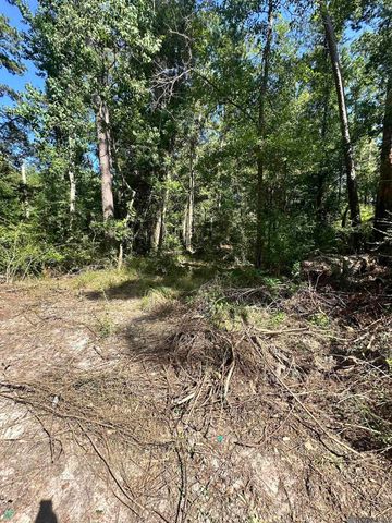 TBD Caleb Ln, Springfield, LA 70462