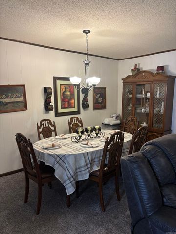 102 W Haislip Street, Murfreesboro, AR 71958