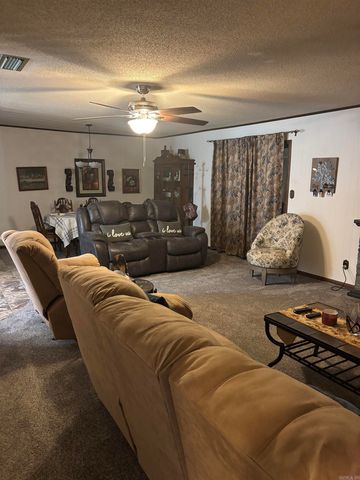 102 W Haislip Street, Murfreesboro, AR 71958