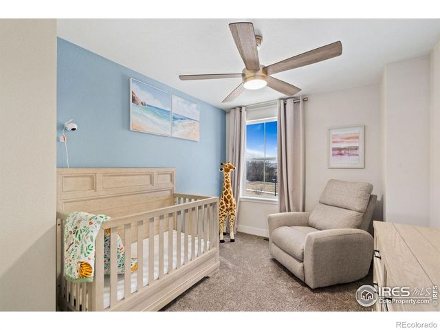 3675 Driftwood Drive, Johnstown, CO 80534