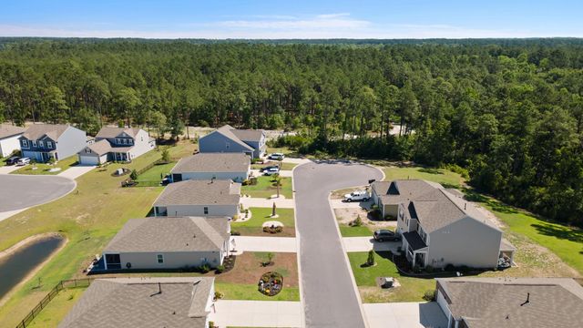 3923 Nandina Ct., Conway, SC 29526