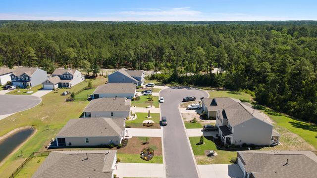 3923 Nandina Ct., Conway, SC 29526
