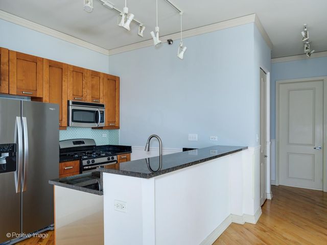 170 W Polk Street 1404, Chicago, IL 60605