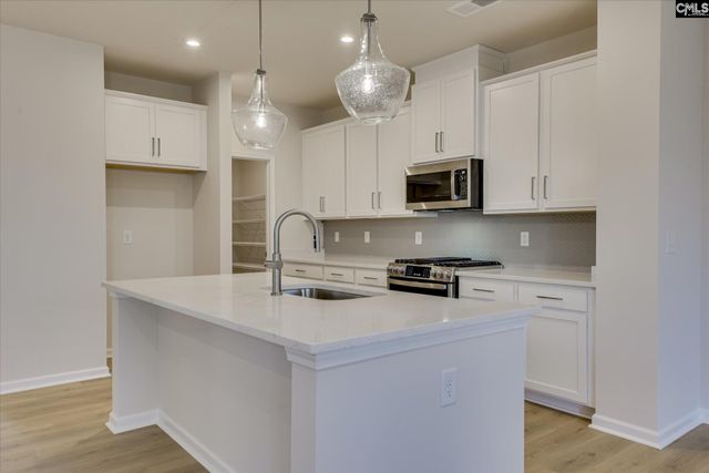 1703 Sweet Meadow Court, Lexington, SC 29073