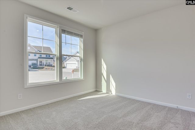 1703 Sweet Meadow Court, Lexington, SC 29073