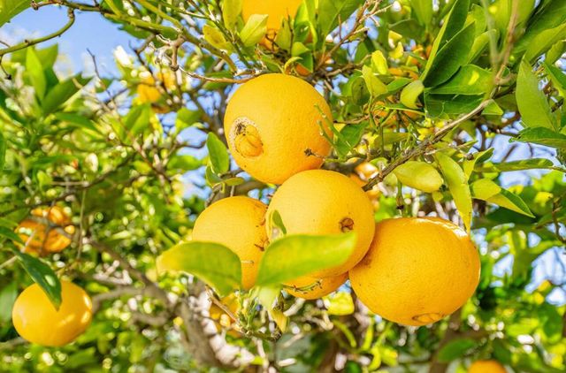 551 San Felipe Street, Salinas, CA 93901