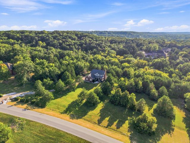 807 S Stanford Drive, Rogersville, MO 65742
