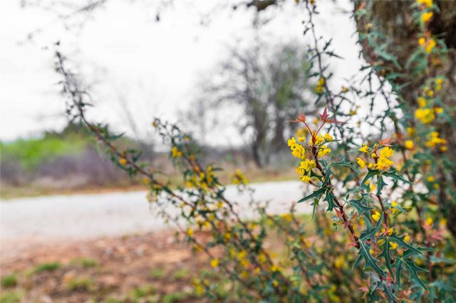 8851 CR 133, Brownwood, TX 76801