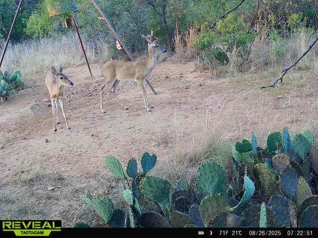 8851 CR 133, Brownwood, TX 76801