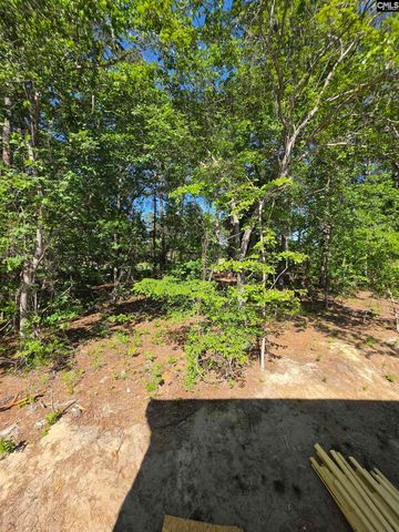 124 Creekside Cottage Court, Blythewood, SC 29016