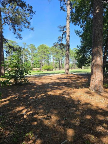 124 Creekside Cottage Court, Blythewood, SC 29016