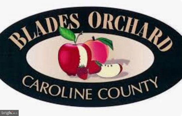 221 DENTON RD, Federalsburg, MD 21632