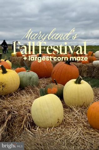 221 DENTON RD, Federalsburg, MD 21632