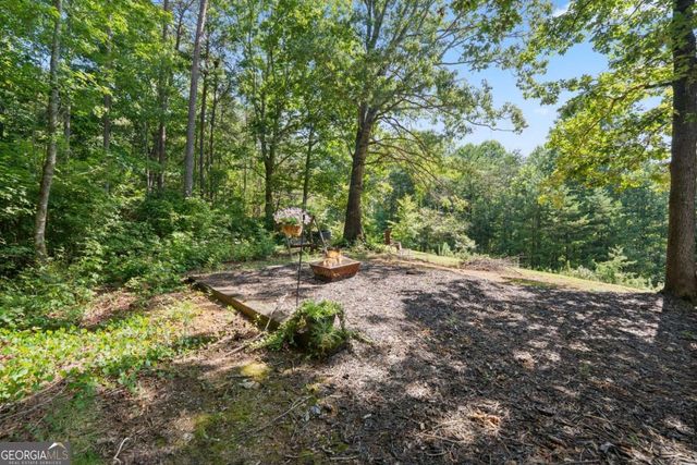 9724 Elliott Family Parkway, Dawsonville, GA 30534
