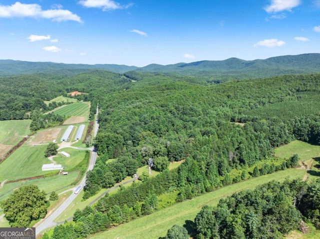 9724 Elliott Family Parkway, Dawsonville, GA 30534