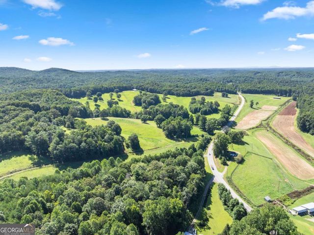 9724 Elliott Family Parkway, Dawsonville, GA 30534