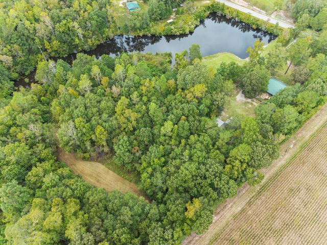 3401 Santee River Road, Saint Stephen, SC 29479