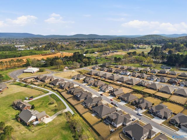 3012 Chimney Cove Circle SE, Owens Cross Roads, AL 35763