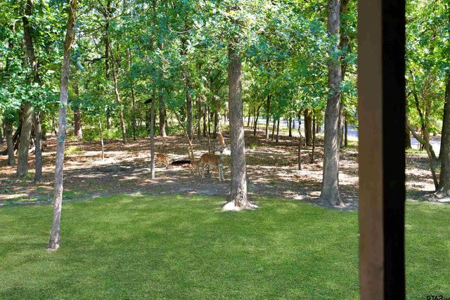 245 Larchwood Path, Holly Lake Ranch, TX 75765