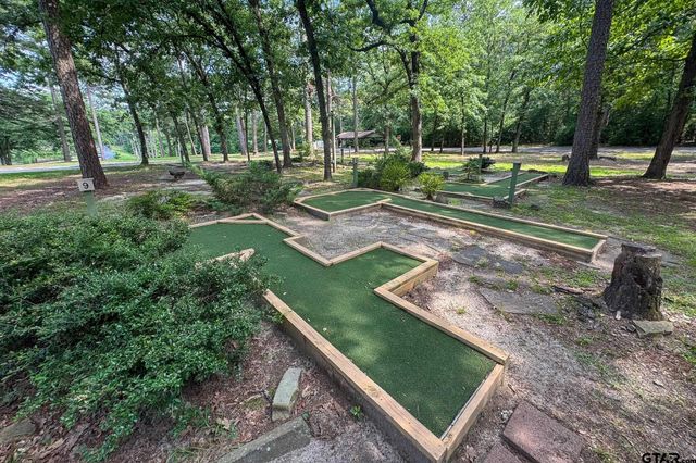 245 Larchwood Path, Holly Lake Ranch, TX 75765