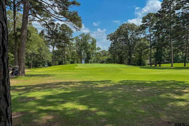 245 Larchwood Path, Holly Lake Ranch, TX 75765