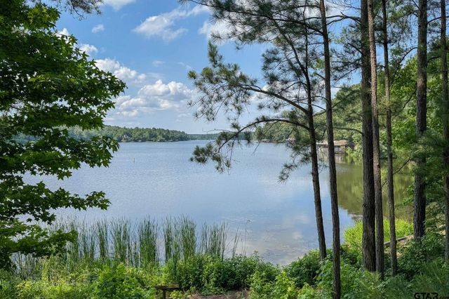 245 Larchwood Path, Holly Lake Ranch, TX 75765
