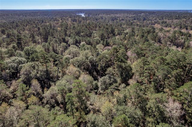 TBD Grassland Court, Huntsville, TX 77340