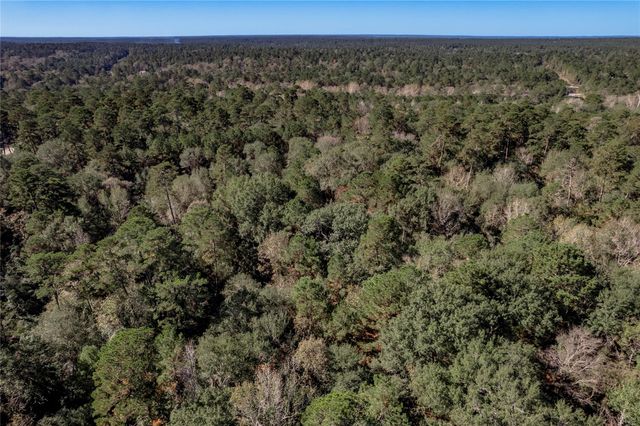 TBD Grassland Court, Huntsville, TX 77340