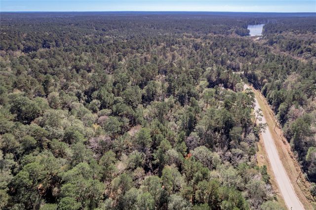 TBD Grassland Court, Huntsville, TX 77340