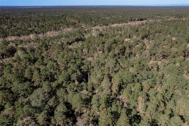 TBD Grassland Court, Huntsville, TX 77340