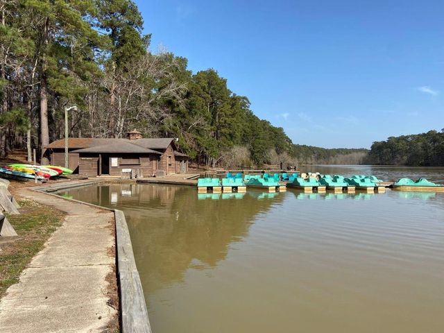 TBD Grassland Court, Huntsville, TX 77340