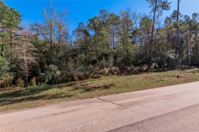 TBD Grassland Court, Huntsville, TX 77340