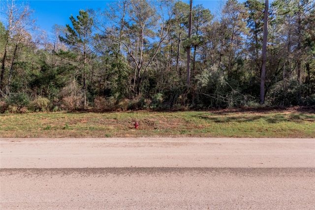 TBD Grassland Court, Huntsville, TX 77340